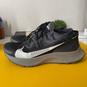Nike Pegasus Trail 2